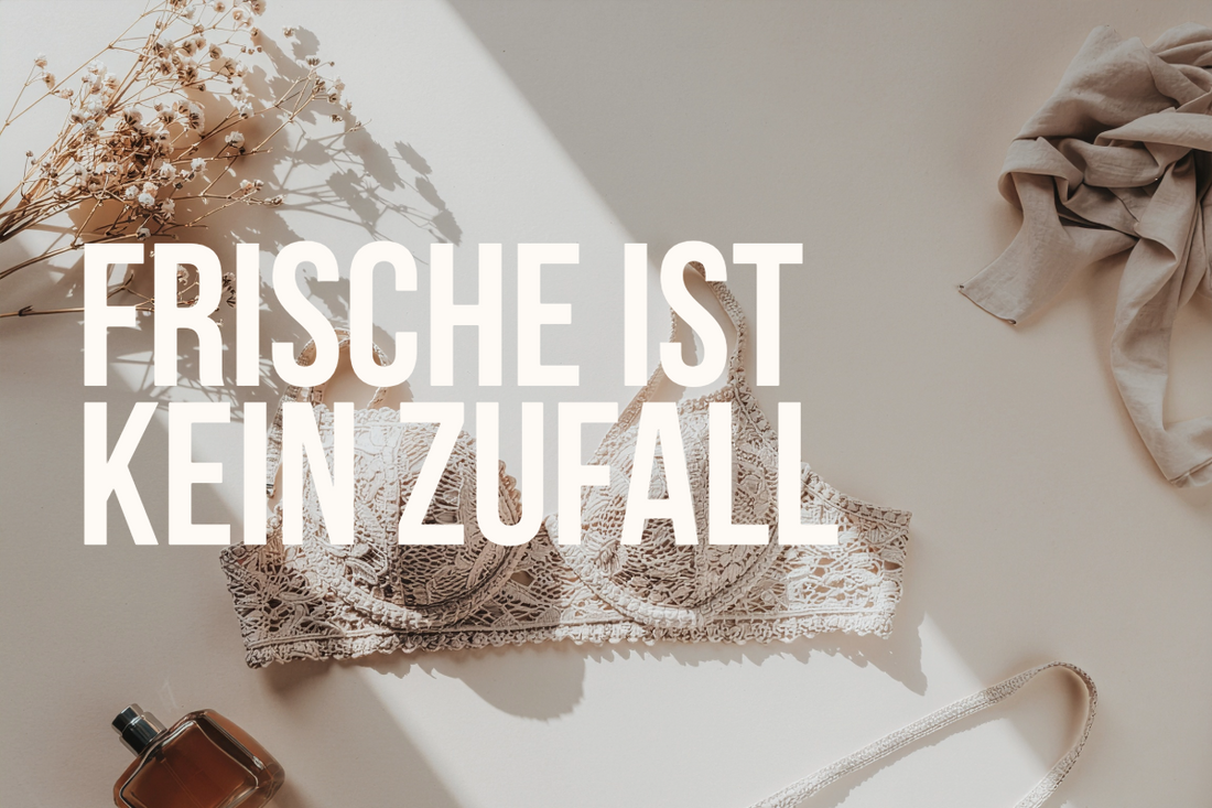 Den ganzen Tag frisch im Büro: 7 Routinen, die wirklich helfen